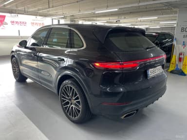 Cayenne (PO536)