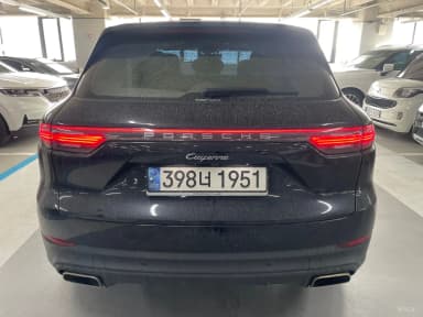 Cayenne (PO536)