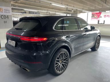 Cayenne (PO536)