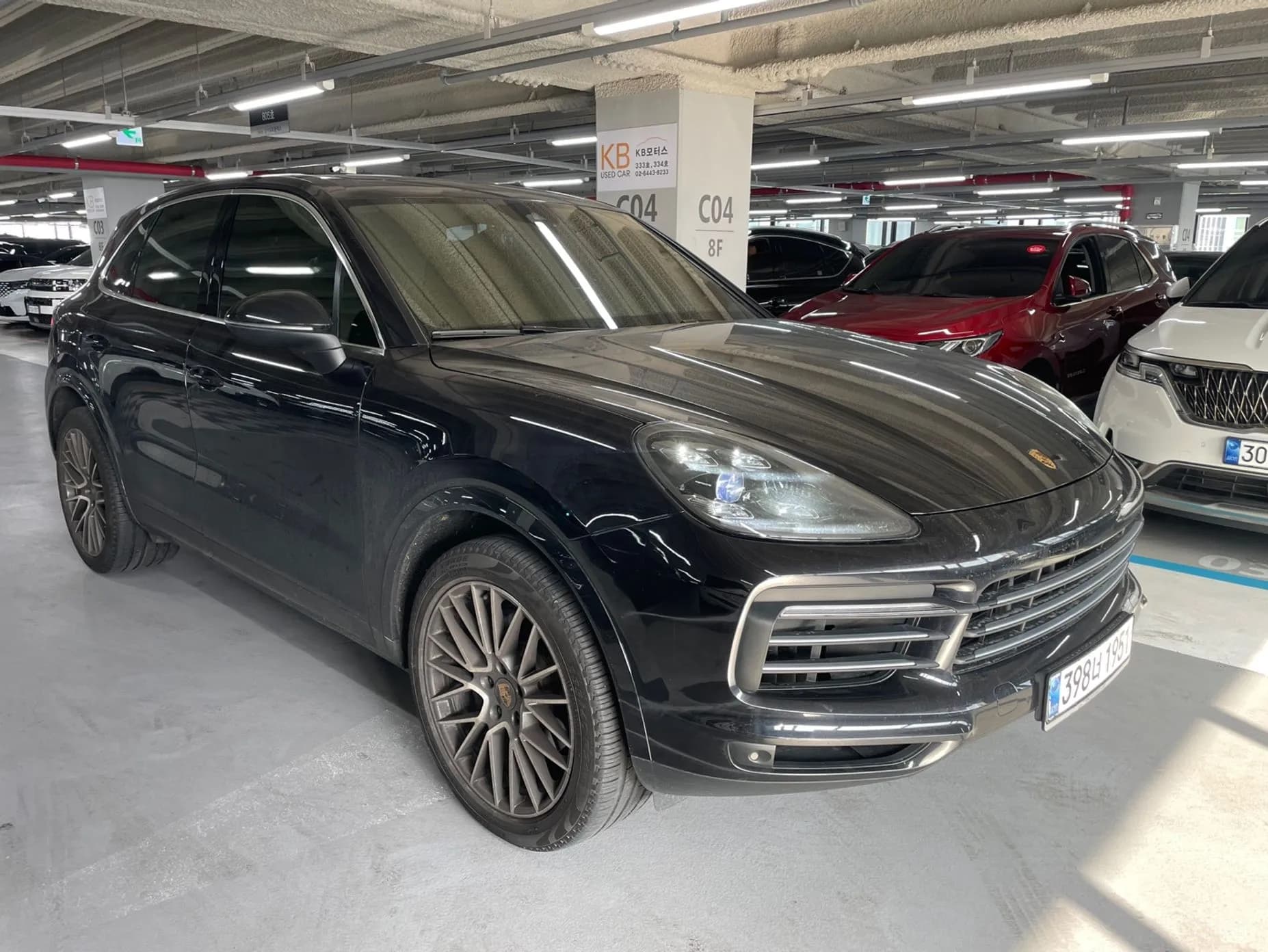 Cayenne (PO536)