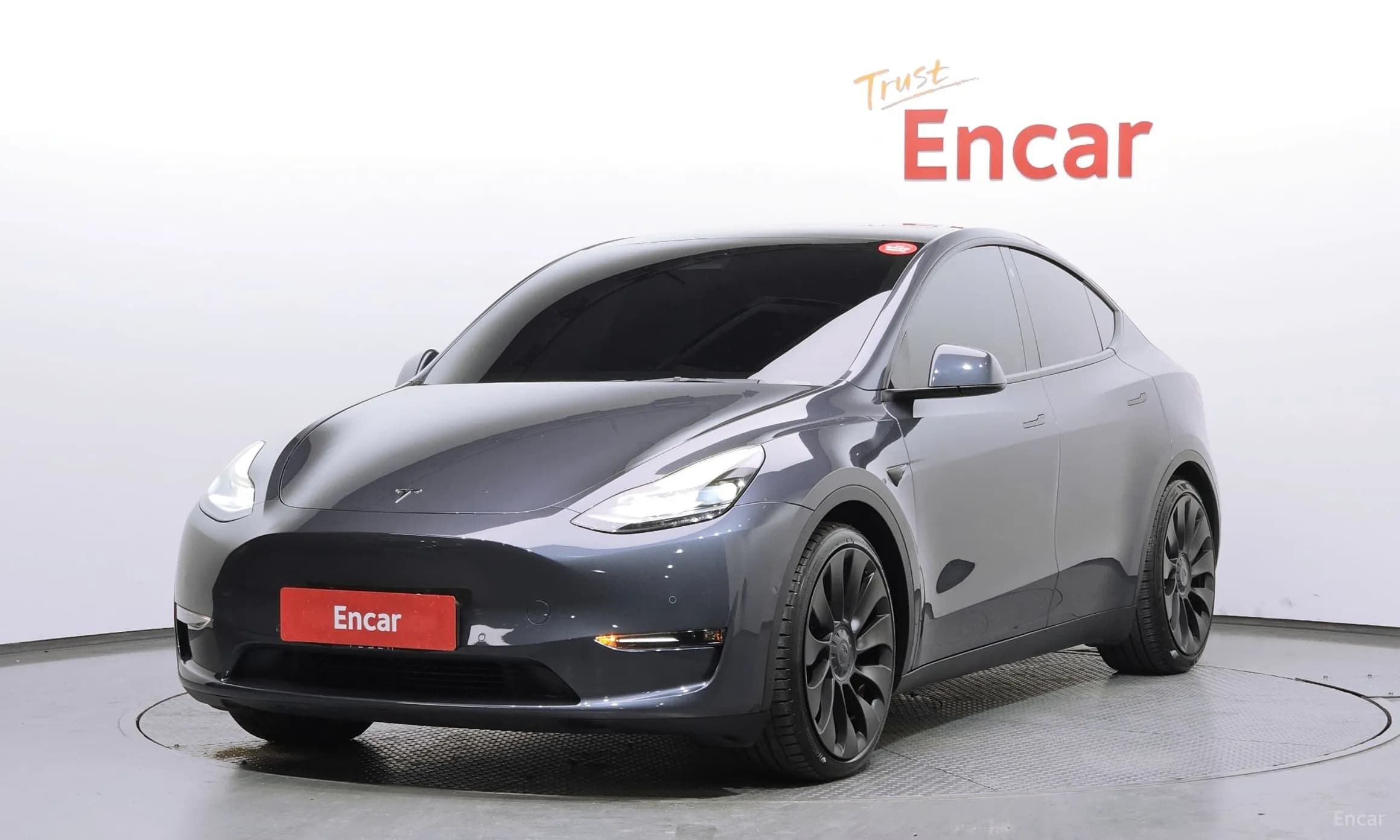 Model Y