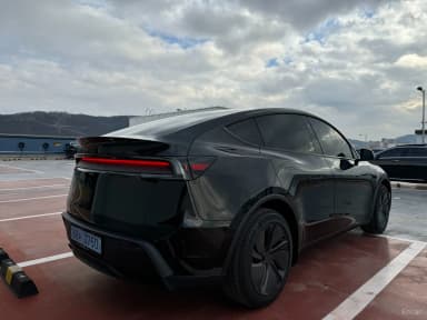 Model Y