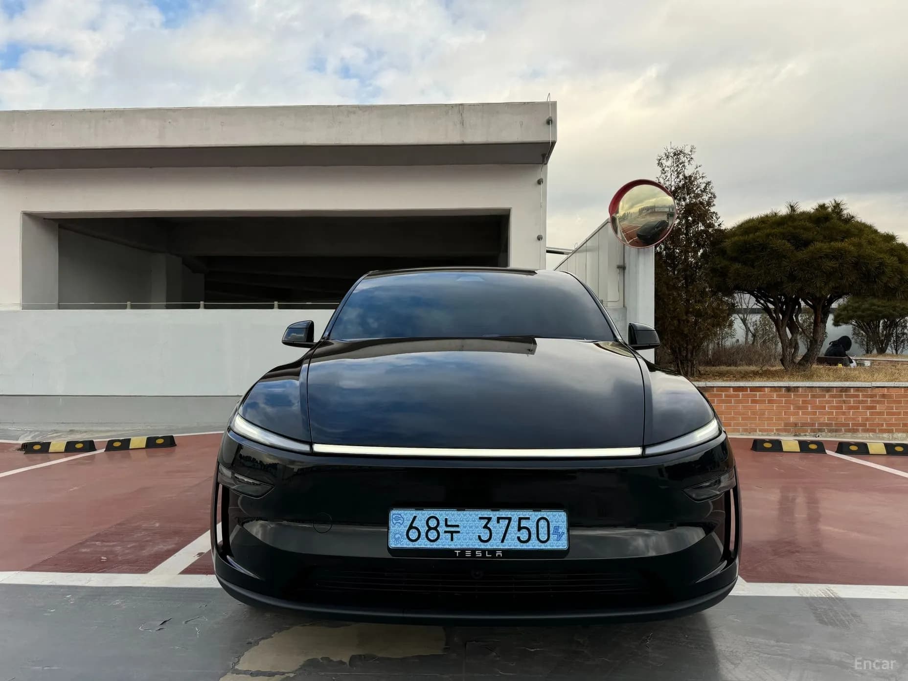 Model Y