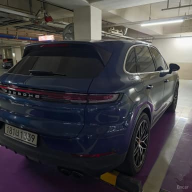 Cayenne (PO536)