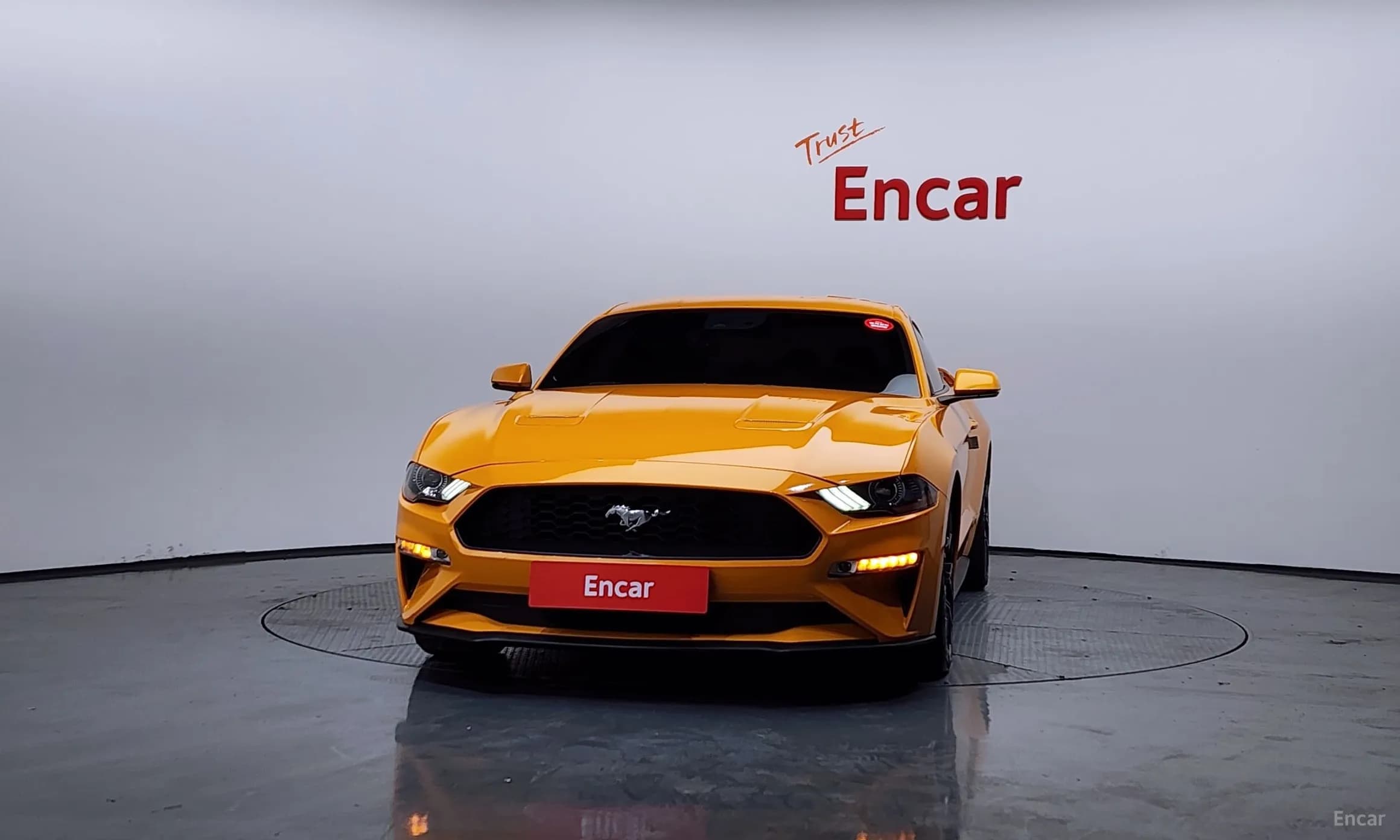 Mustang