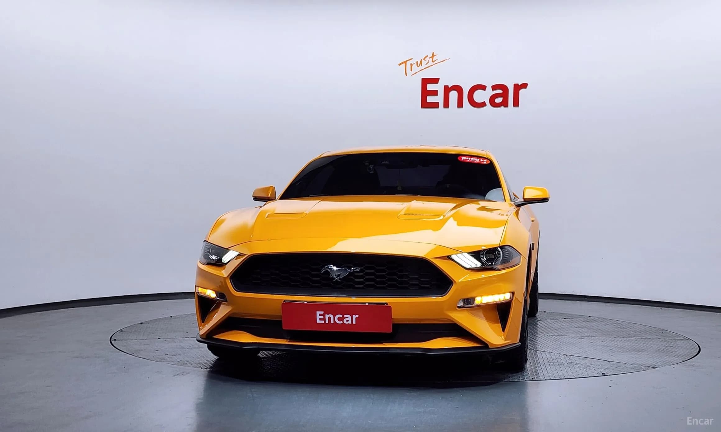 Mustang