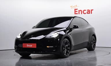 Model Y