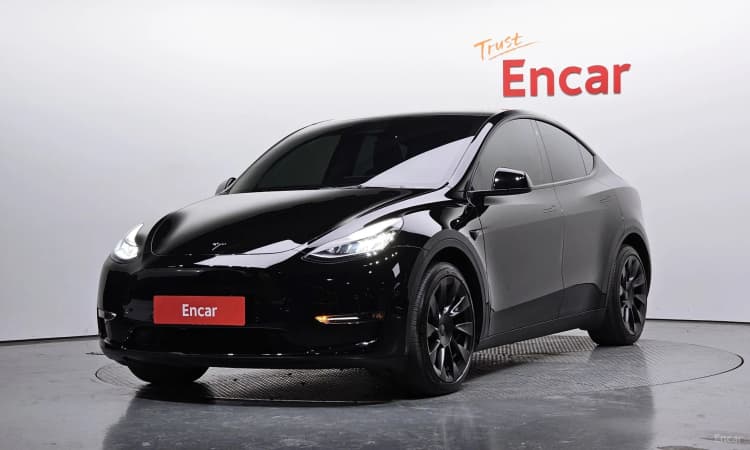 Model Y