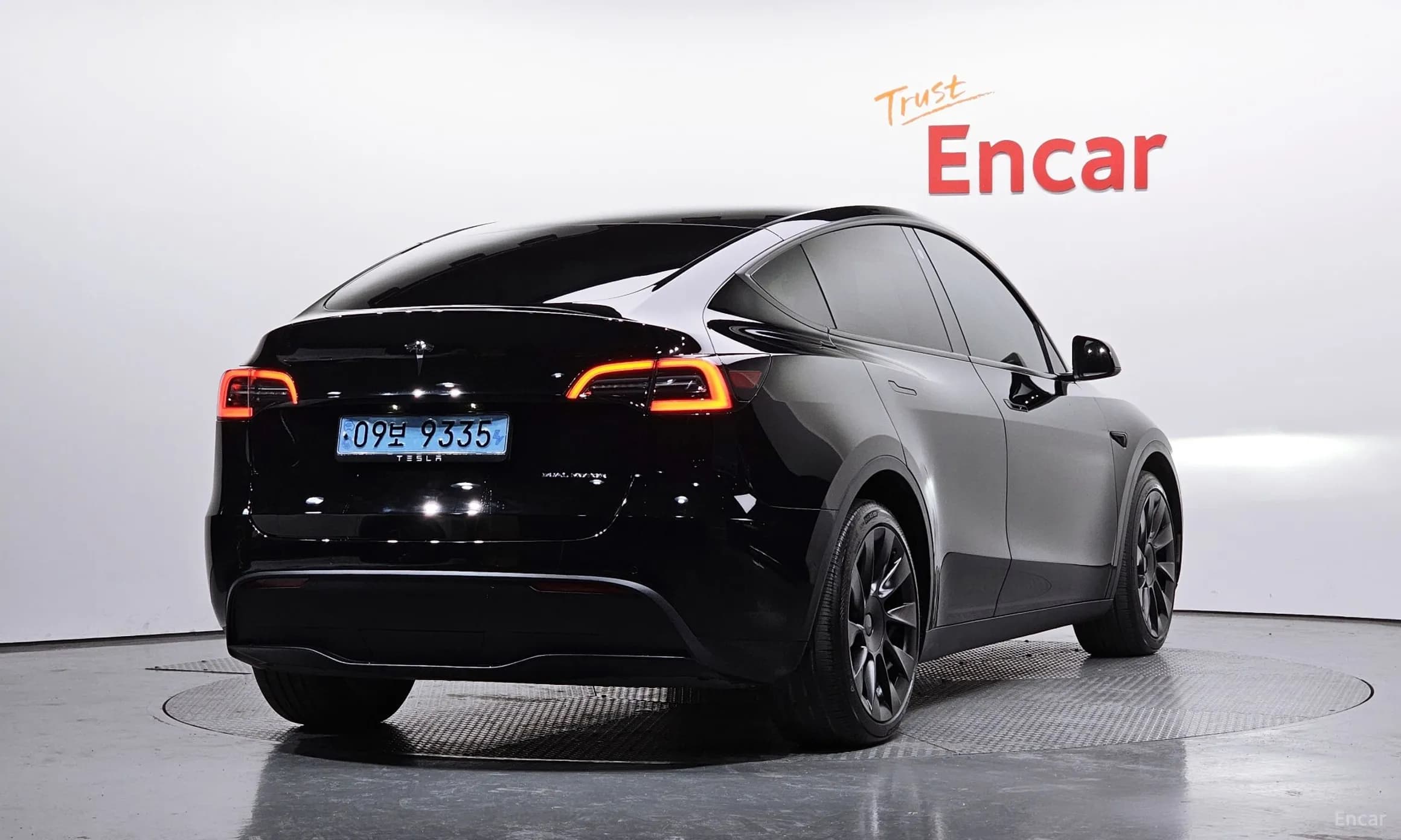 Model Y