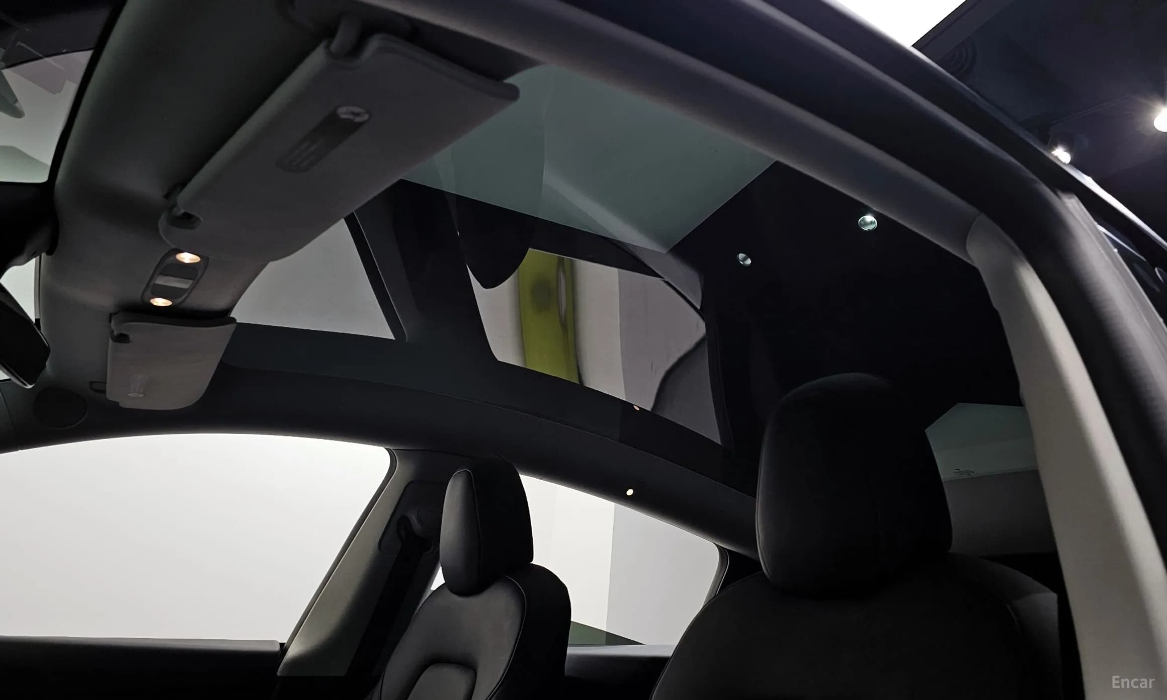 Model Y