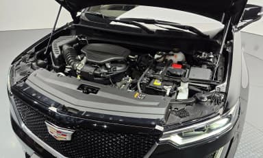 XT6