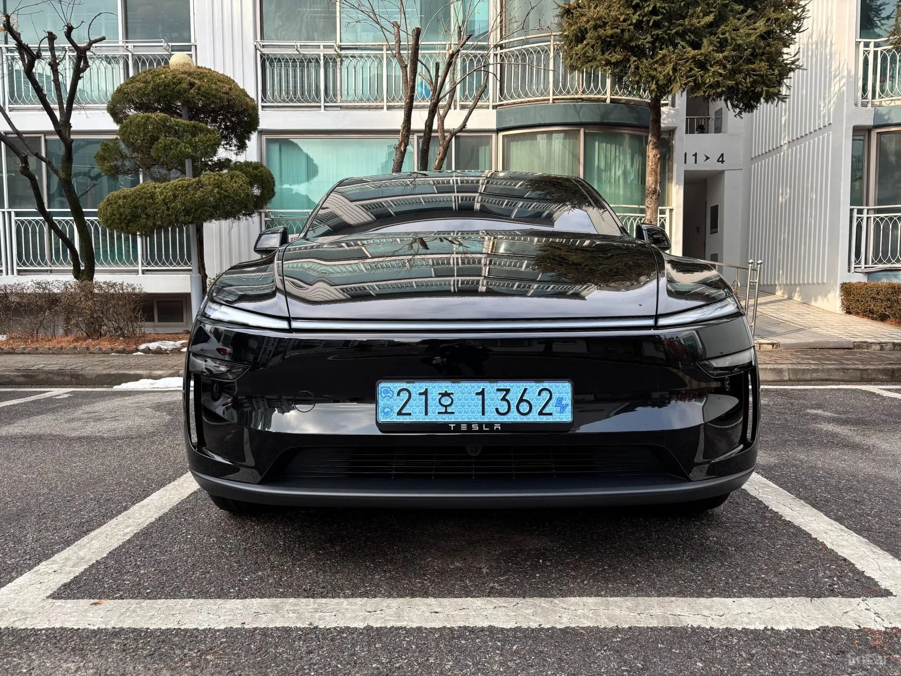 Model Y