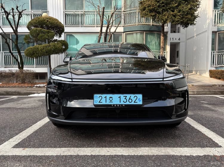 Model Y