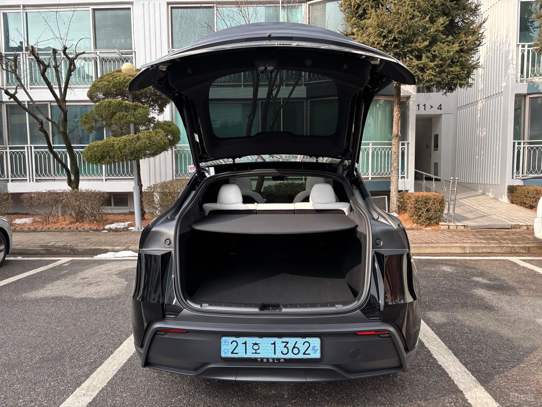 Model Y