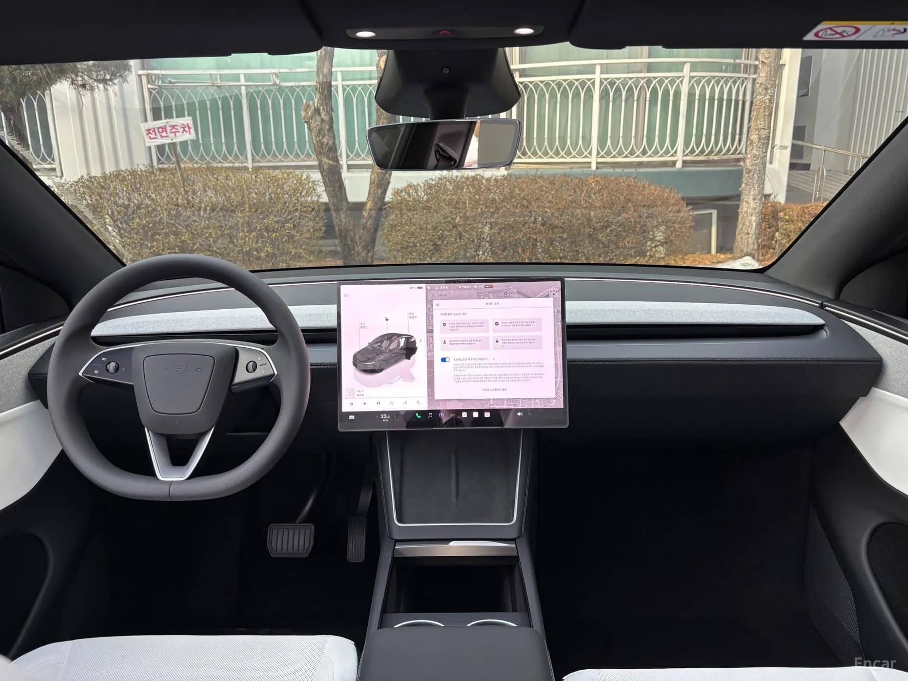 Model Y