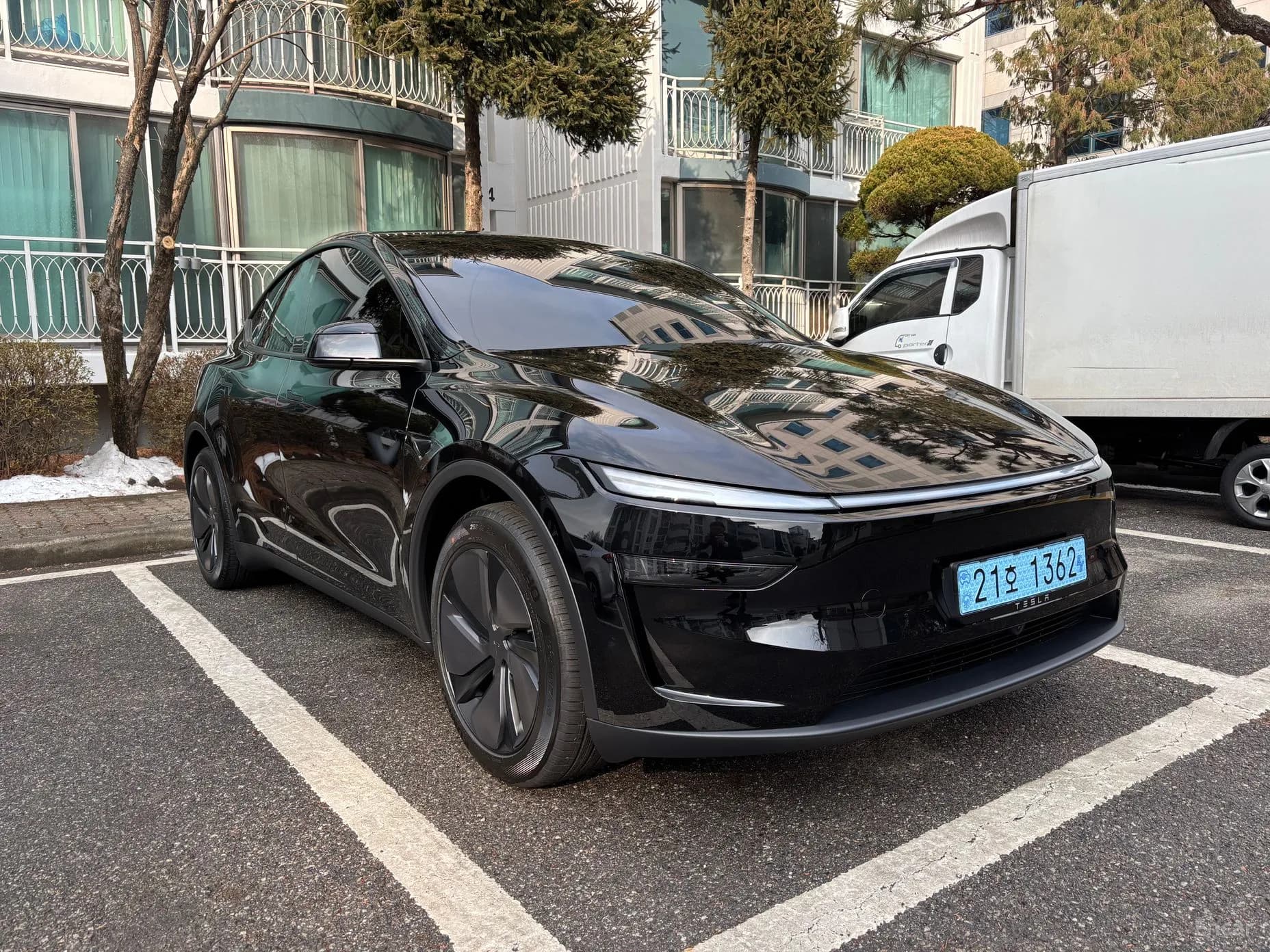 Model Y