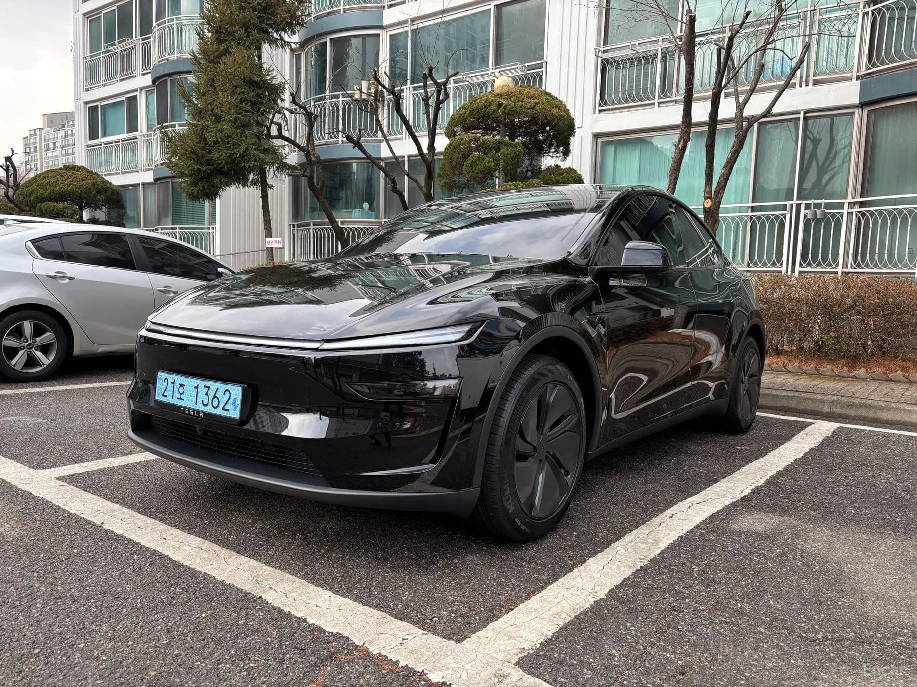 Model Y