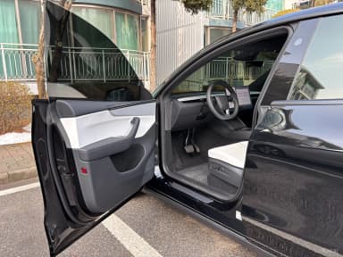 Model Y