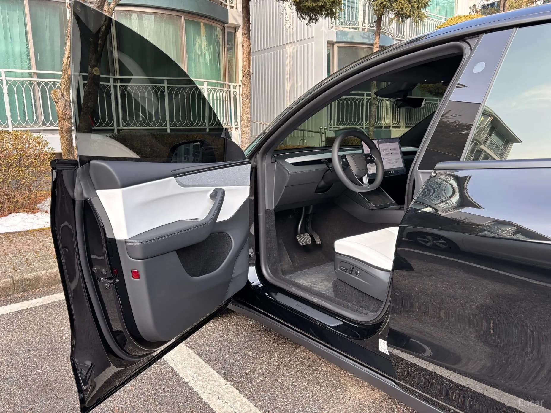 Model Y