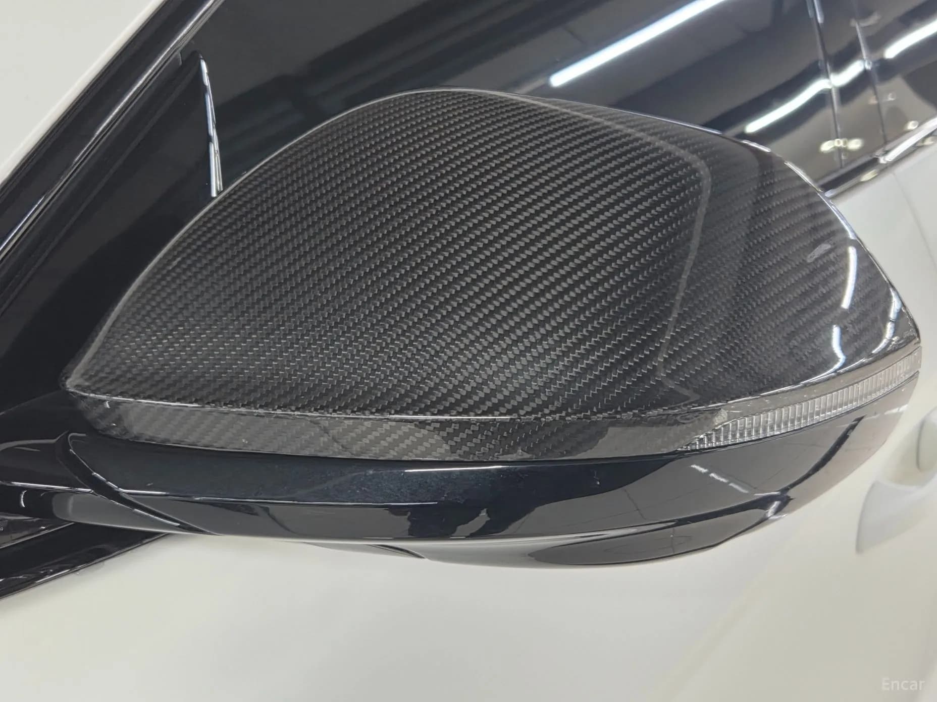 Urus