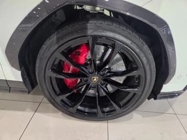 Urus