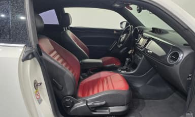 The Beetle