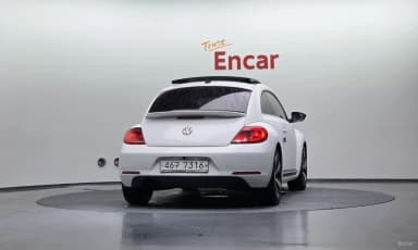 The Beetle