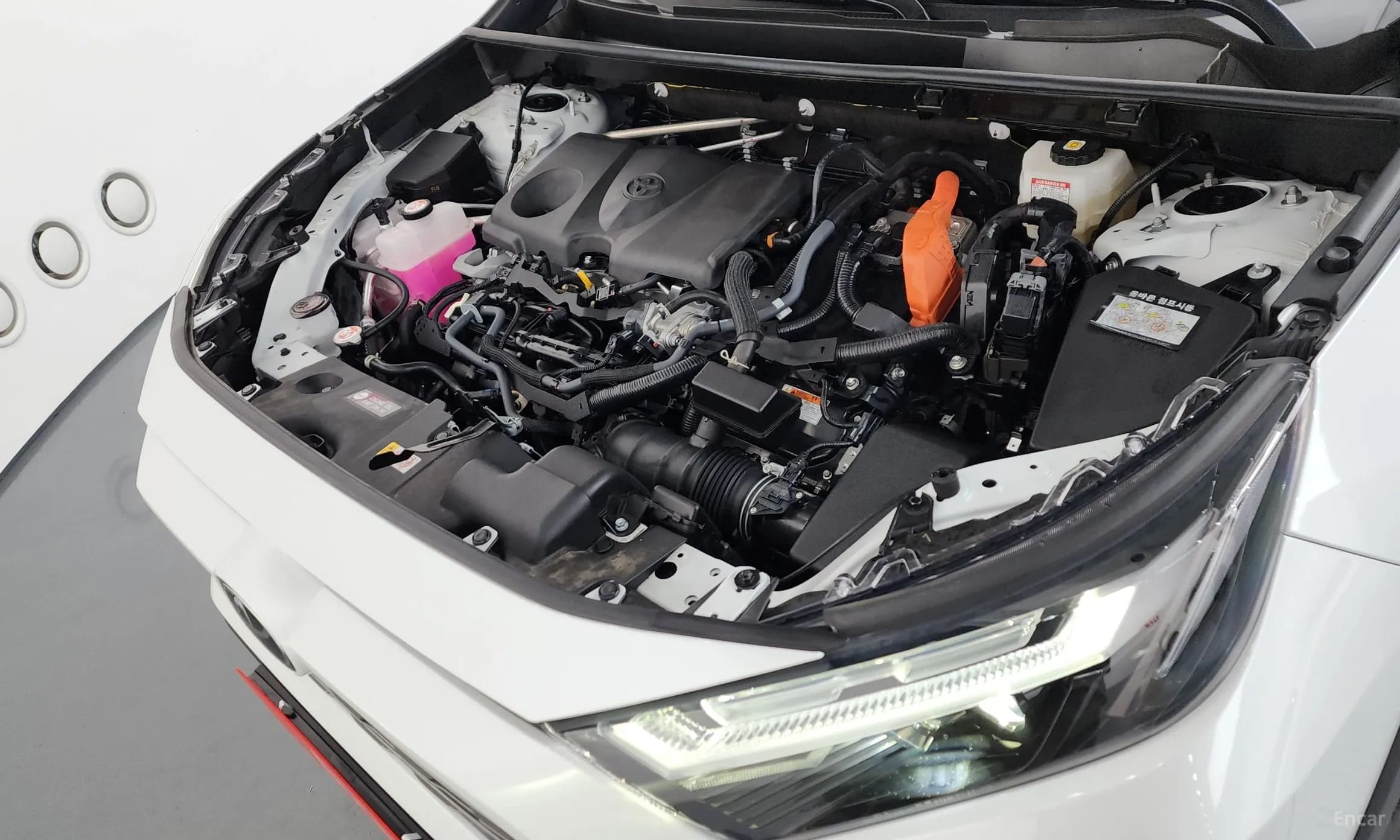 RAV4 5th Generation