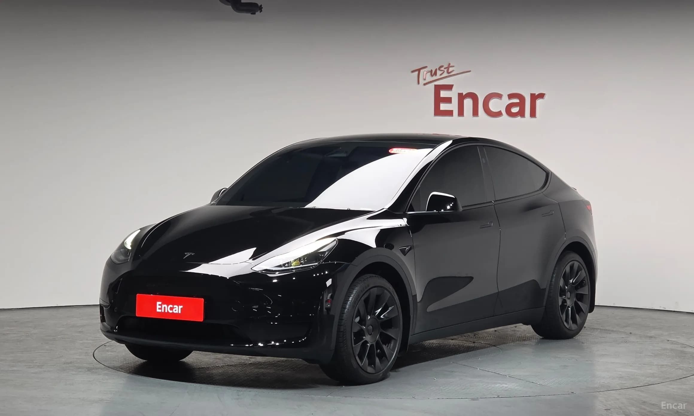 Model Y