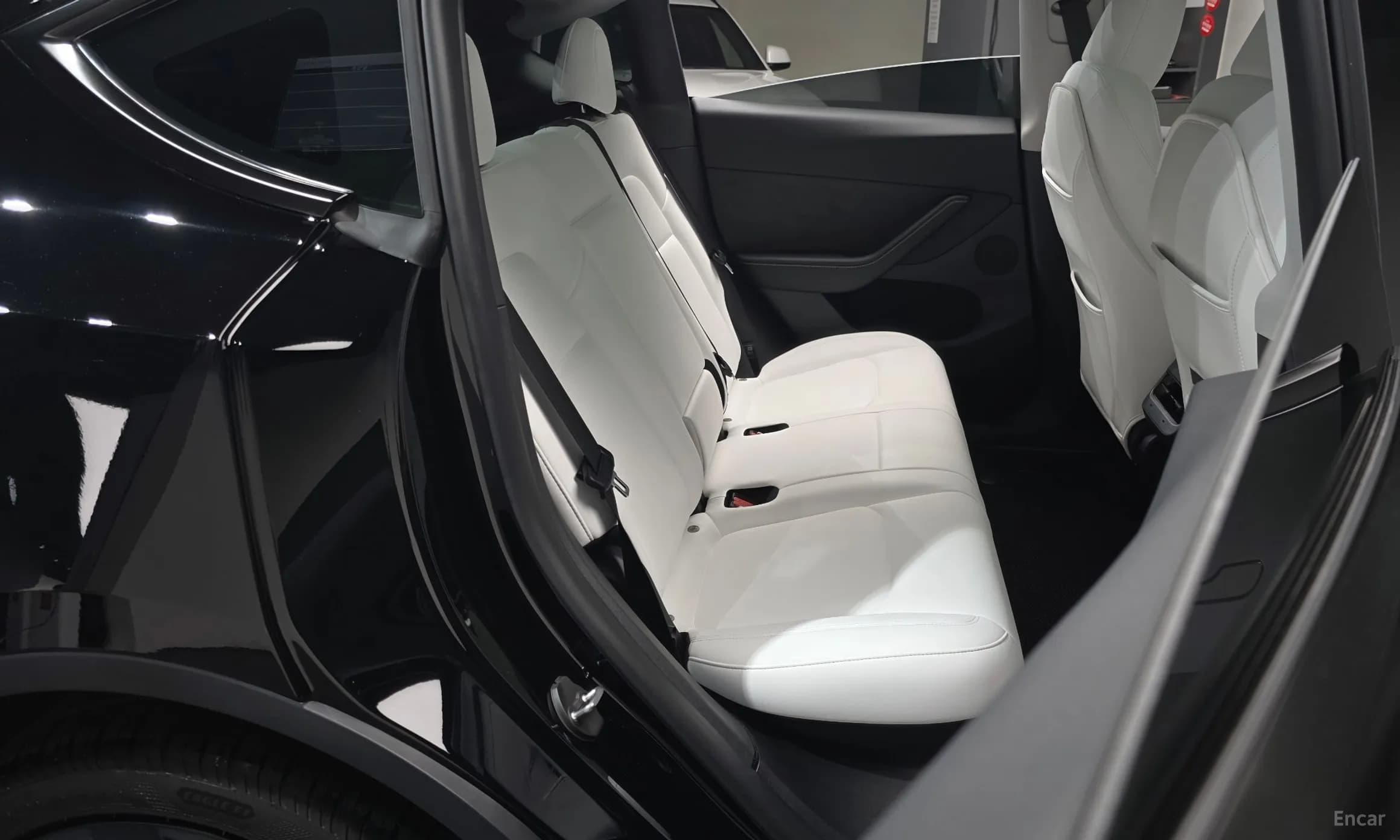 Model Y