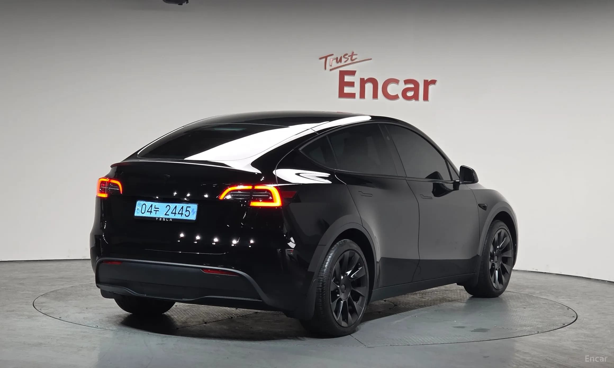 Model Y