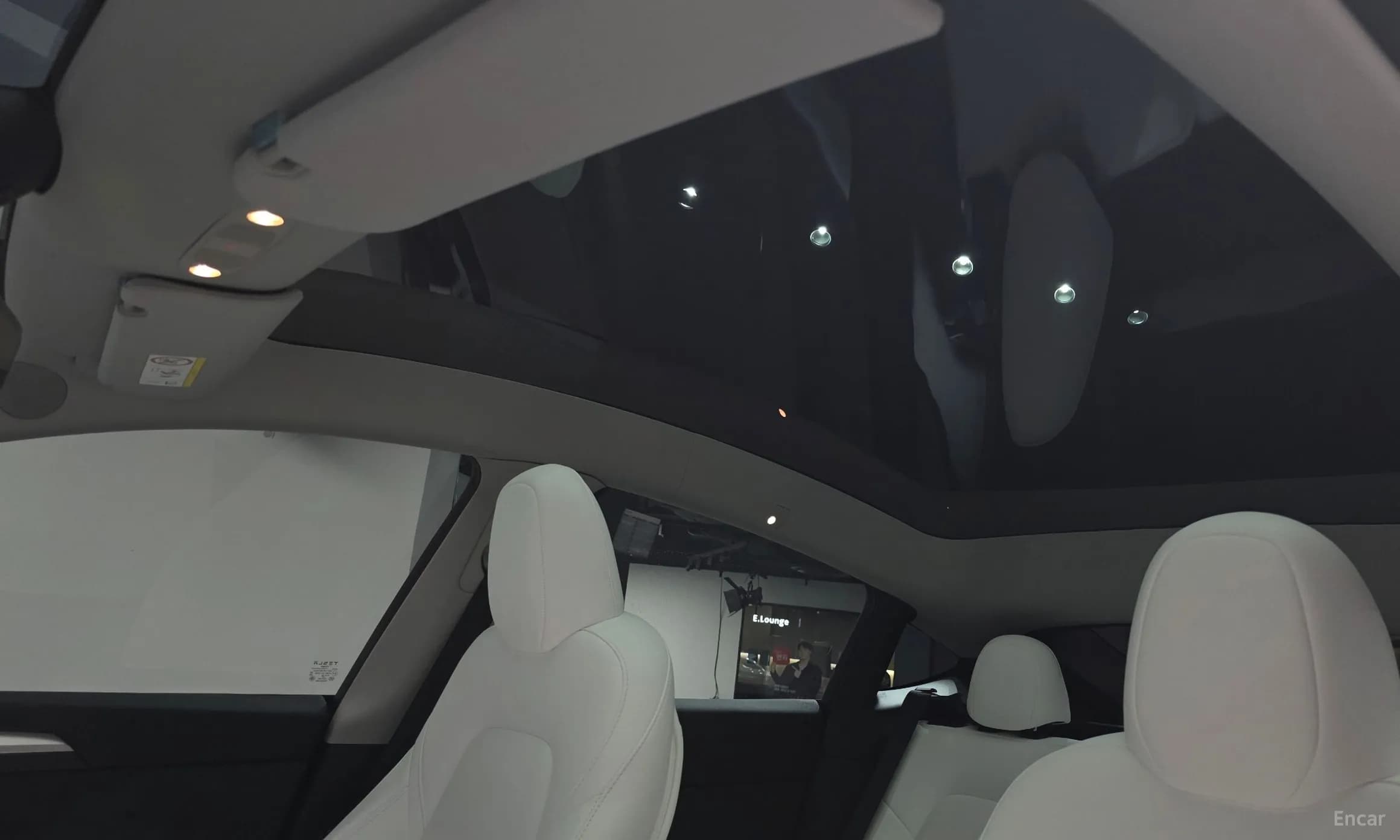 Model Y