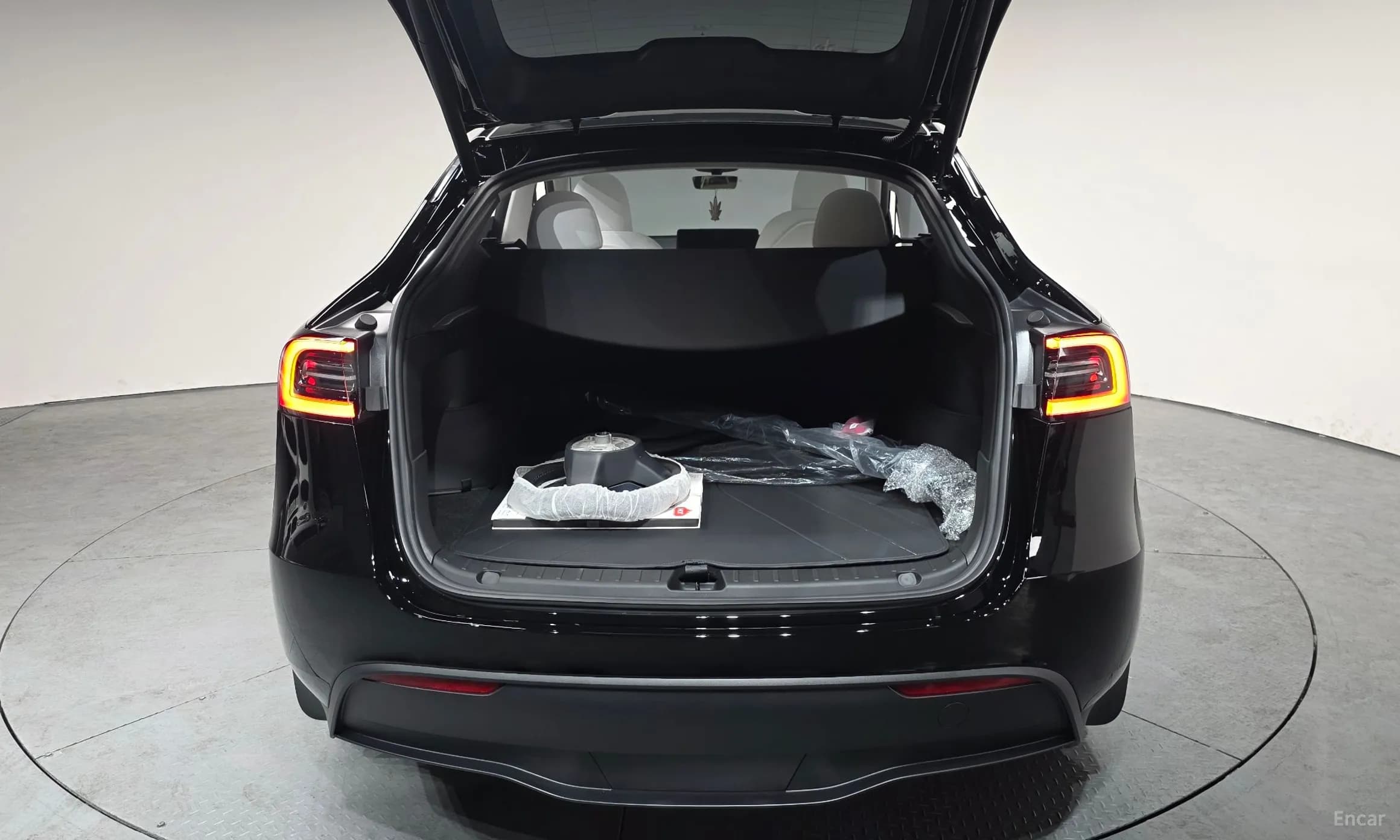 Model Y