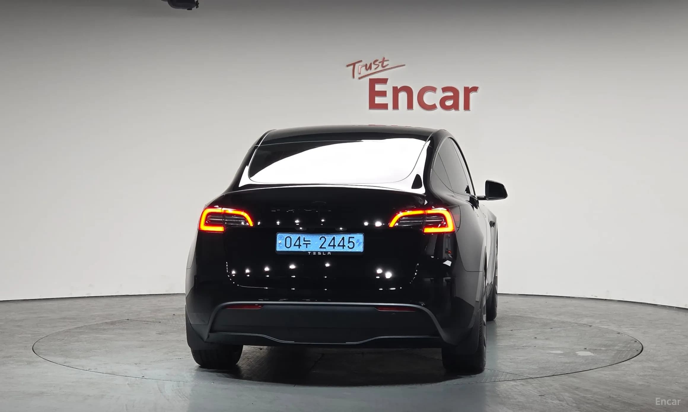Model Y