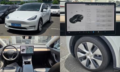 Model Y