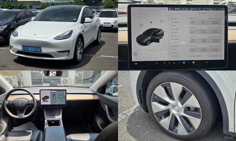 Model Y