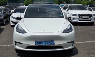 Model Y