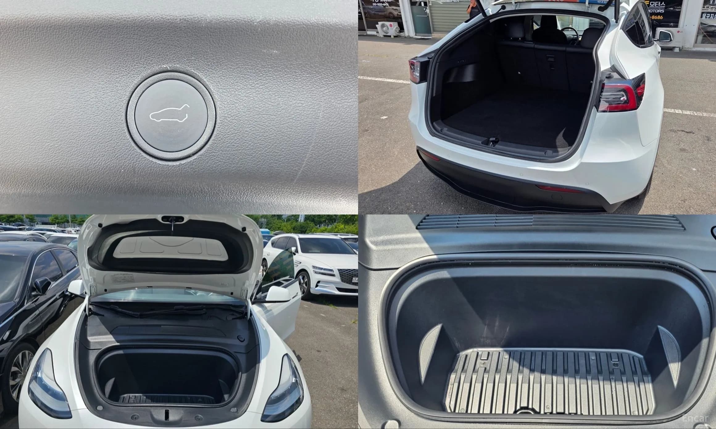 Model Y