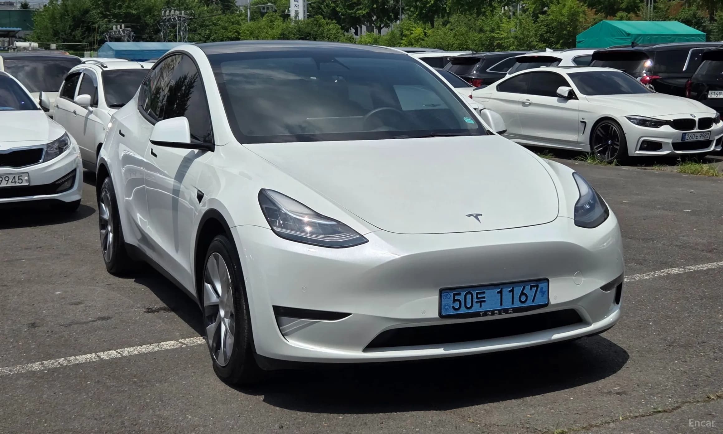 Model Y