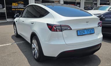 Model Y