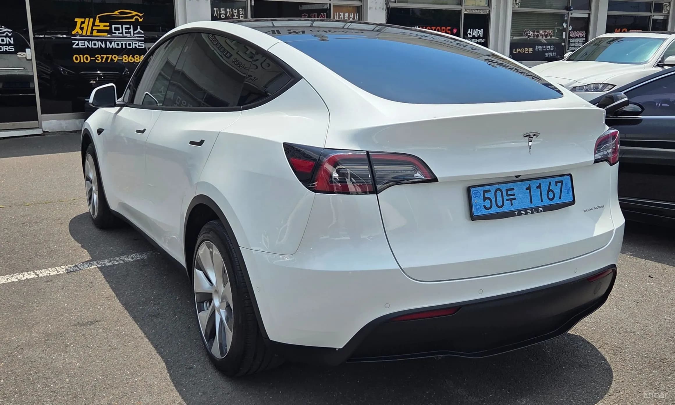 Model Y