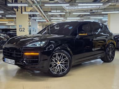 Cayenne (PO536)