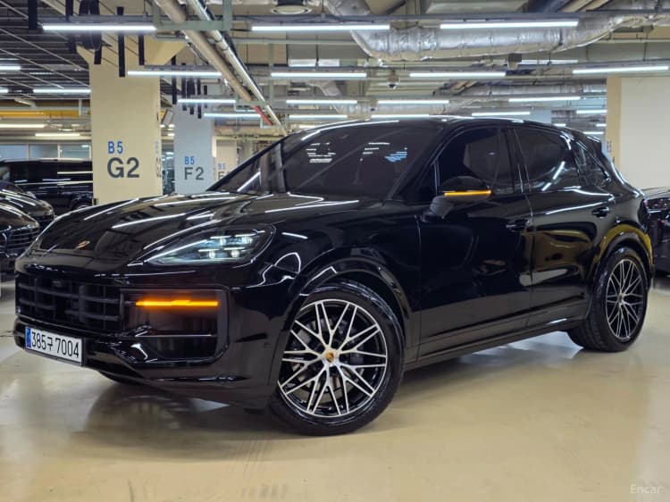 Cayenne (PO536)