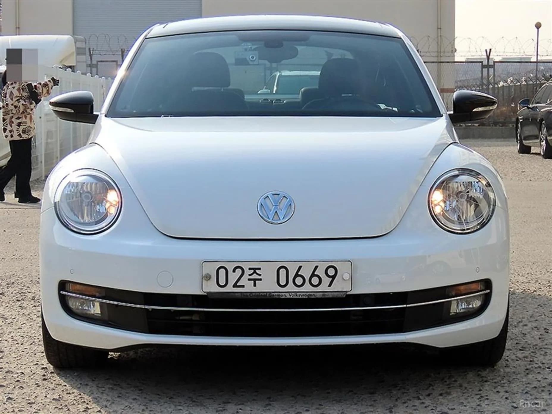 The Beetle