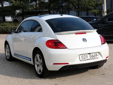 The Beetle