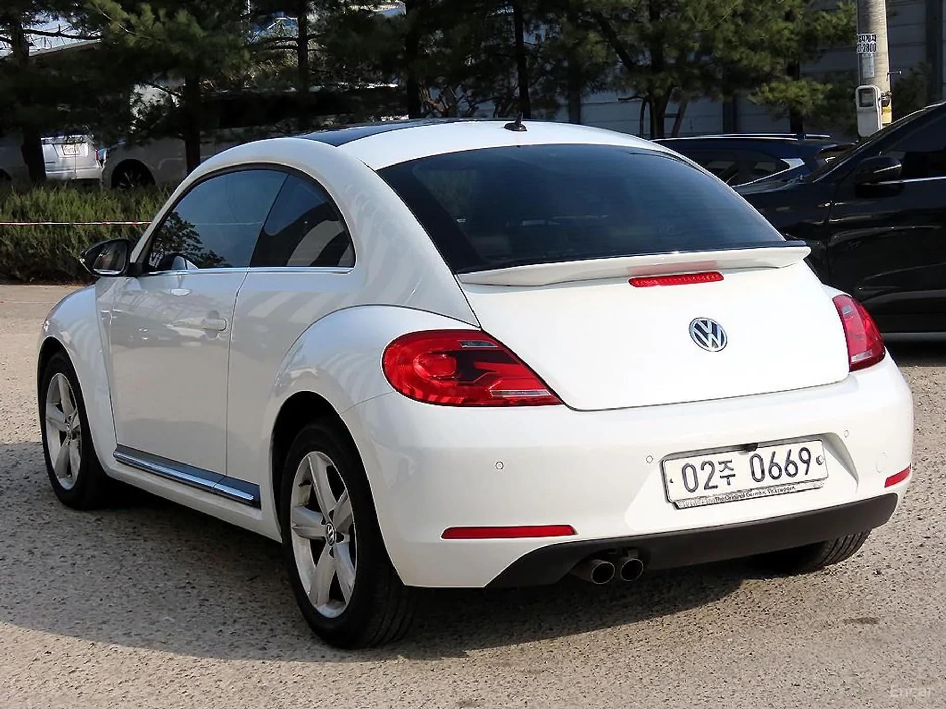 The Beetle