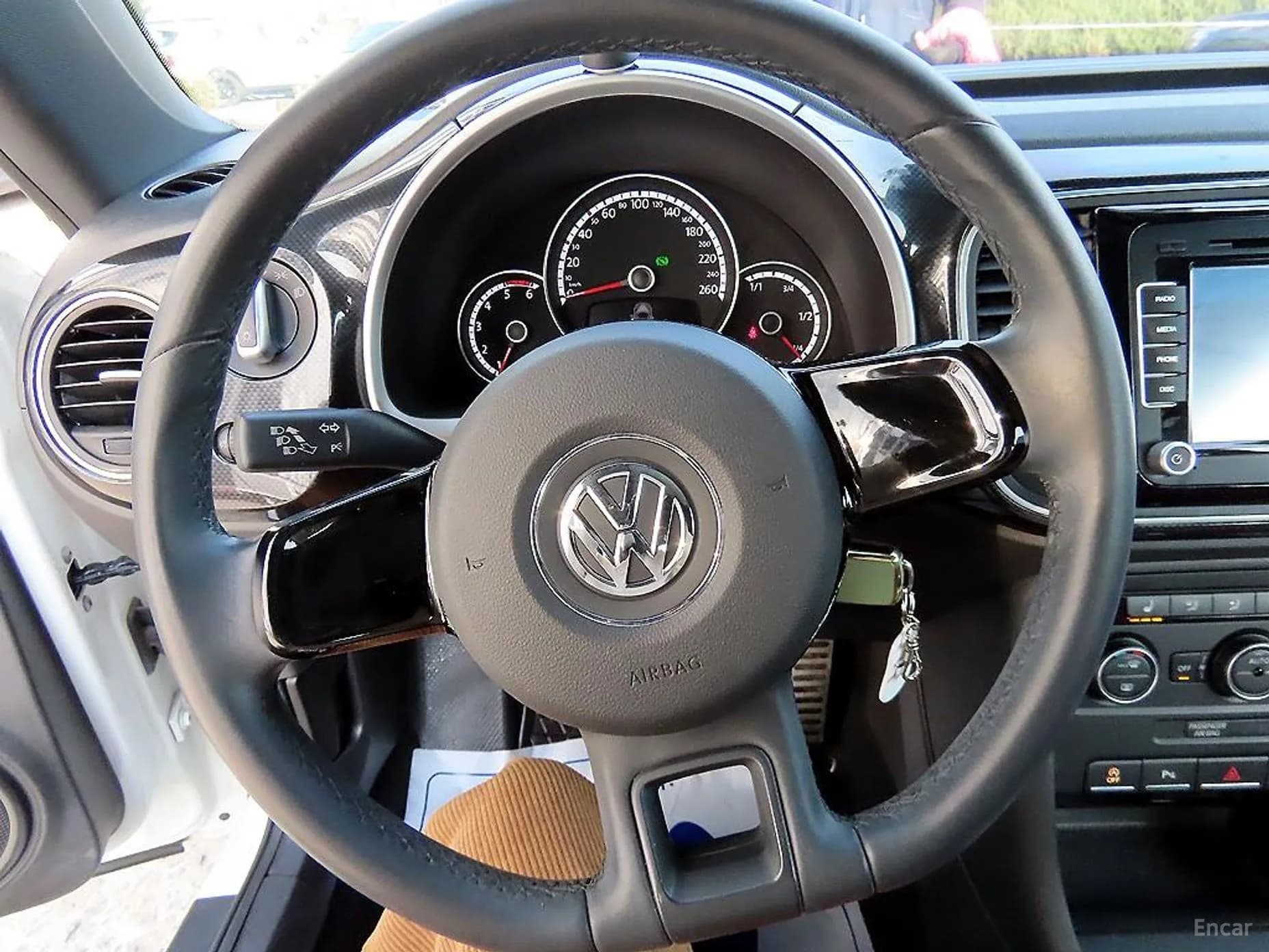 The Beetle