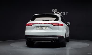 Cayenne (PO536)