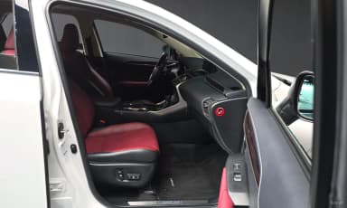 NX300h