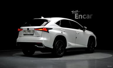 NX300h